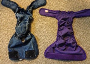 Diaper on the right has a long Velcro strip on the bottom, making it stay on better if the dog gains weight.