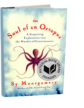 Soul of an Octopus book