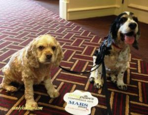 Dogs at BlogPaws conference