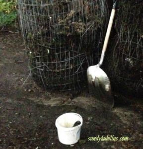 Compost pile and poop bucket