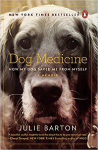 Dog Medicine book