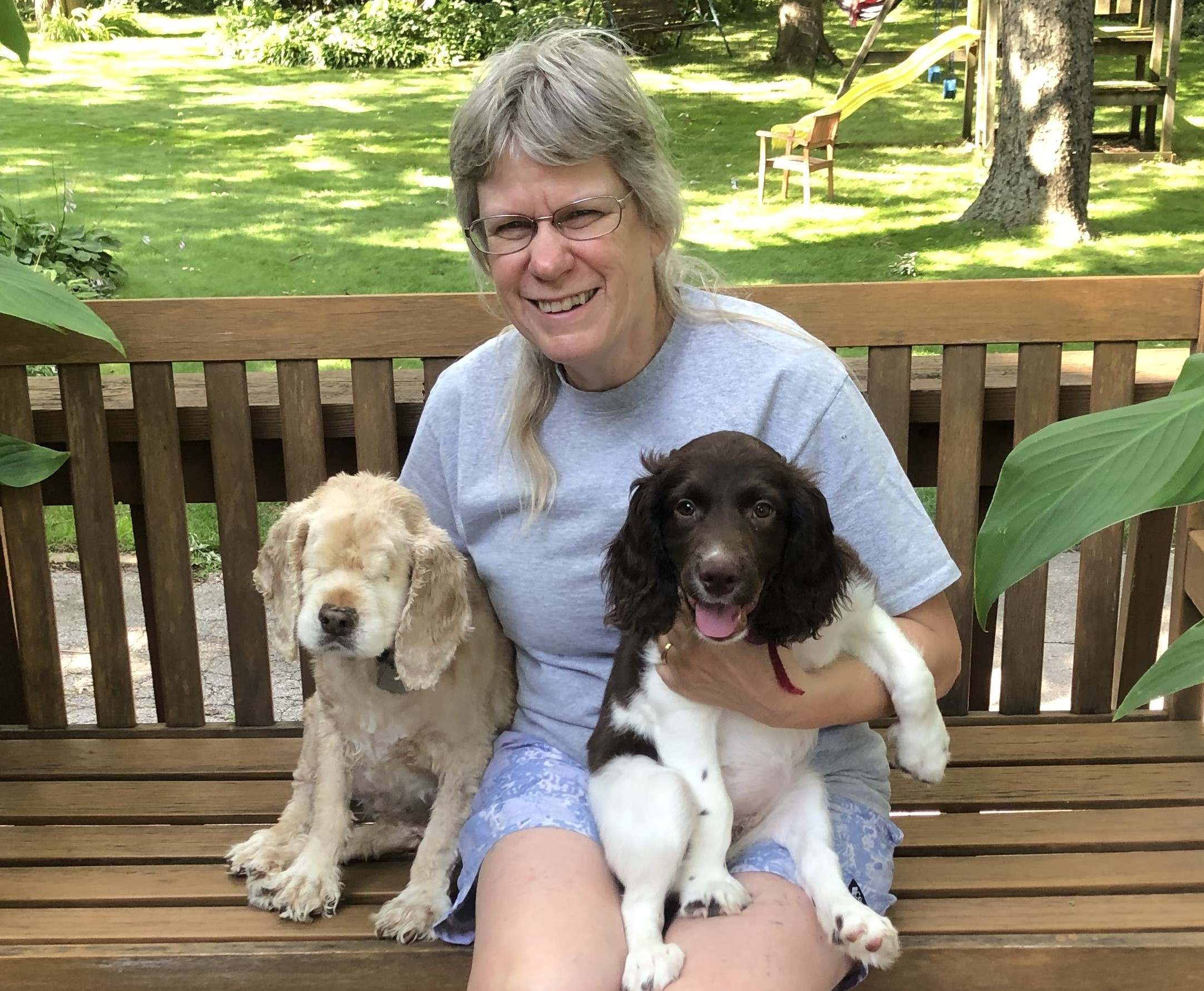 Blind cocker spaniel with springer puppy and me